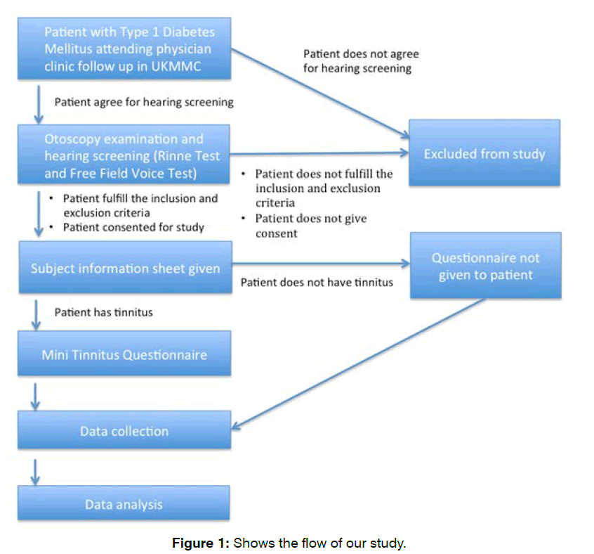 tinnitus-flow-study