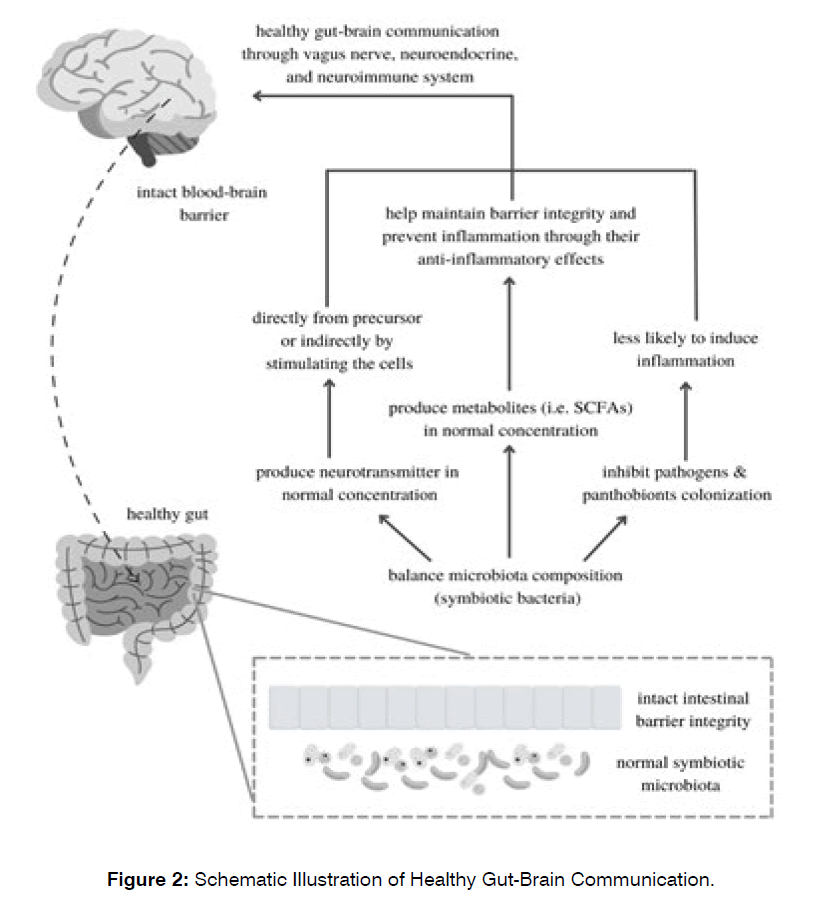 Nerve fat tinnitus sale