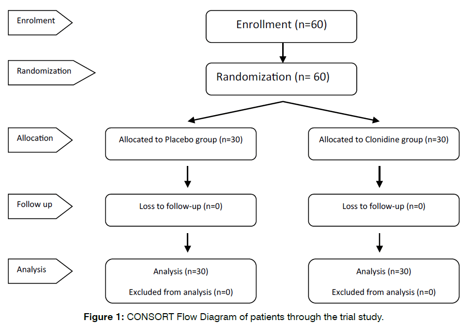 tinnitus-flow-diagram