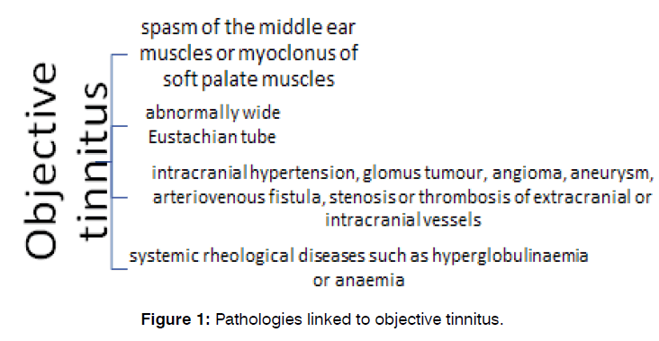 tinnitus-pathologies-linked