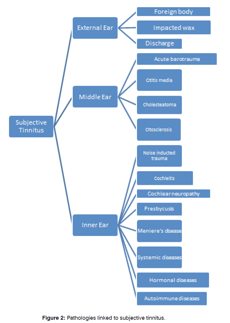 Diagnostic Value of Different Types of Tinnitus