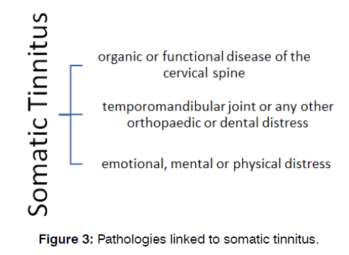 tinnitus-pathologies-linked