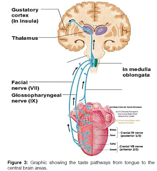 Tinnitus-tongue