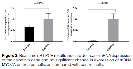 Tinnitus-treated-cells